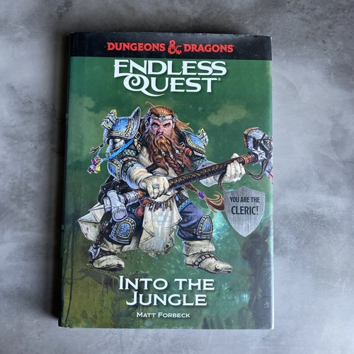 Dungeons dragons into the - dragons:,