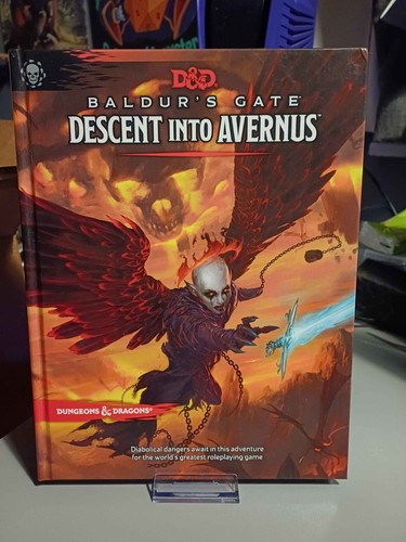Baldurs gate descent - gate, into
